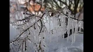 НА ОПУШКЕ ОЗЯБШЕЙ ДУШИ...