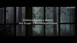 Мухьаммад Аль-Люхьайдан Красивое Чтение Корана