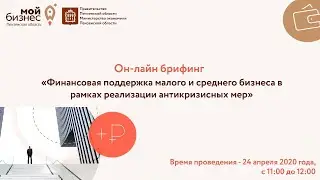 Финансовая поддержка малого и среднего бизнеса в рамках реализации антикризисных мер