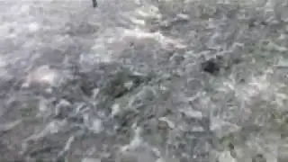 пух