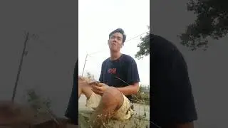 ketika di tinggalkan menikah sama ayang awalnya Heppy ko jadi sedih