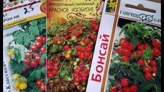Какие сорта томатов уже посеяла для раннего урожая