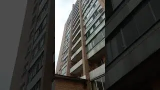 и фиолетовые ромашки...