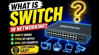 How a Layer 2 Switch Actually Forwards Data