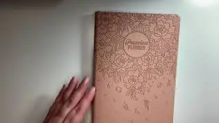 Passion Planner Daily Flip Though |December 2020