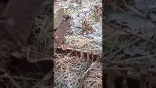 за пару часов 300 кг