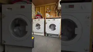 Synchronised drying! #shorts