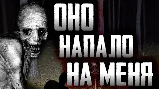 Страшилки на ночь - Ночная прогулка - Страшные истории на ночь про лес