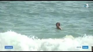 Eaux de baignade de Douarnenez
