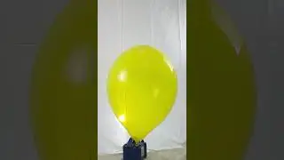 Quick BTP crystal yellow ballon blow to pop