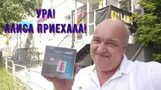 Яндекс станция Алиса в подарок от проекта Живая Очередь