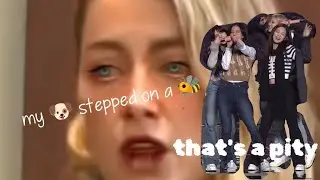 my 🐶 stepped on a 🐝 blackpink edition 💅