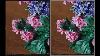 Focus Merge Comparison – Affinity Photo vs Helicon Focus