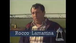 1995 Ethnic Business Awards Finalist  Rocky Lamattina  Rocky Lamattina and Sons