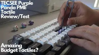 TECSEE Purple Pandas PME Tactile Sound Test/Comparison on KBD67 Lite ASMR