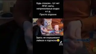 ᶰ ᵒ   ᵐ ᵉ ᵐ ᵉ   ¹²¹ #мем #мемы #ржака #смехдослез #прикол #приколы #лучшее #рекомендации #short