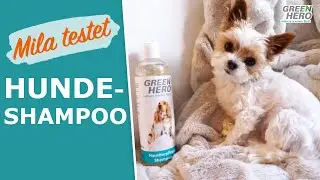 Hund mit Shampoo waschen? 🐶  #milatestet Hundeshampoo