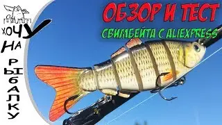 Swimbait review and test from AliExpress