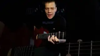 HENSY - Полевые цветы (кавер на гитаре) 
