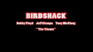 BIRDSHACK performing THE THEME