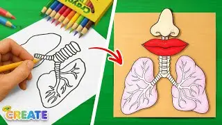 Craft and Learn Body Parts 🫁 🩺 Creative Learning Activities for Kids
