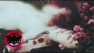 ✚ Beneath My Shade - Bloom