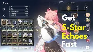 [WuWa] How to Start Grinding 5-Star Echoes Faster. Level Up DATA BANK FASTER