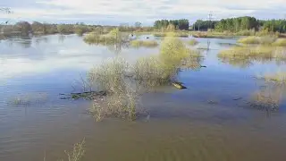 Стремительно разлилась река Болва.