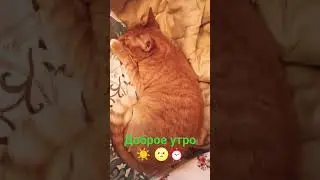 привет из Москвы🥰 Нина