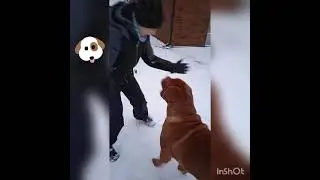 walking with dog🐕🐶🙈