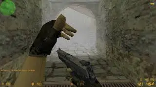Na`Vi Zeus vs. Ravens (IEM4 2010)