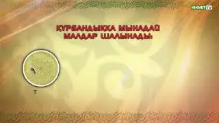 Құрбандыққа қандай мал шалынады (ролик) | ©Tugyr.kz
