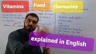 Food Vitamins and Hormones comparison explained in English