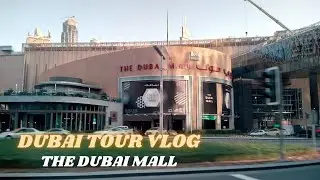 The Dubai Mall 🔥 | Dubai Tour Vlog | A Day In Dubai | Travel Prabhat