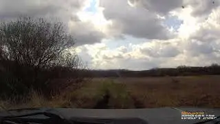 Нива по лесу 2