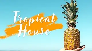 Summer MIX Tropical House 2020 || Vol - 3