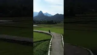 #nature