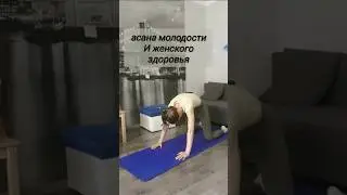 асана молодости и женского #здоровье #йога #упражнение #тело #женщина