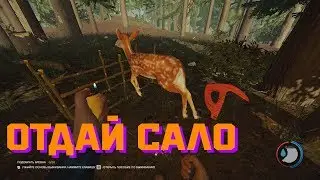 The Forest 