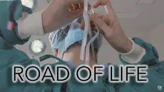 Road of Life