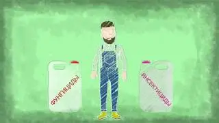 Зачем смешивать протравители? Готовый инсектофунгицид для защиты семян