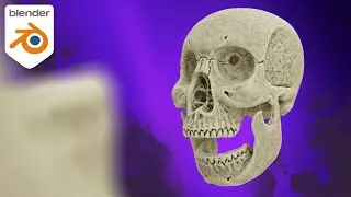 Blender Tutorial Skull Sculpting Part 2