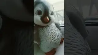 Я-пингвин! Мама-хомяк смотрии!
