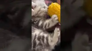 Вкусненько...