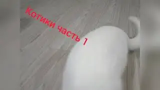 10 мая 2020 г.