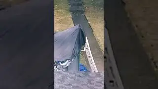 Go for a walk? ...no thanks.