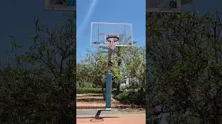 PORTABLE BASKET NET🏀