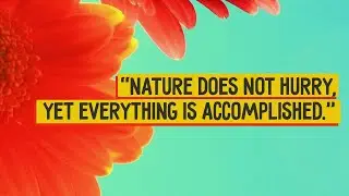 Top 10 Inspiring Nature Quotes