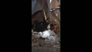 Лариса Яковлева в прямом эфире!
