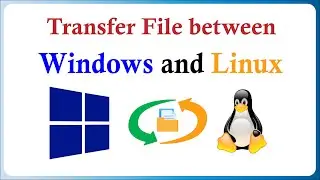How to Transfer Files between Windows and Linux with WinSCP